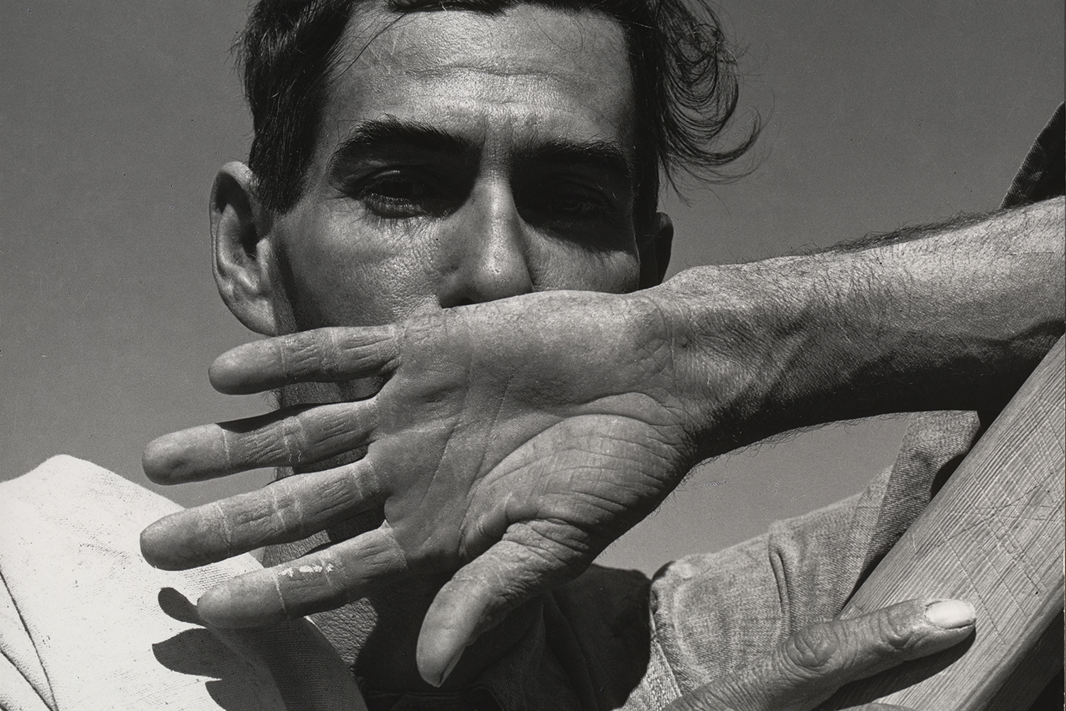 Dorothea Lange and the Afterlife of Photographs