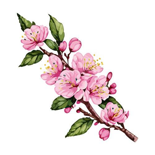 水彩で描かれた桃の花のイラスト 無料素材 | イラストダウンロード