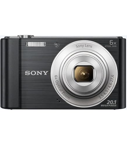 Amazon.co.jp: Sony Cyber-shot DSC-WX300(T) Brown : Electronics