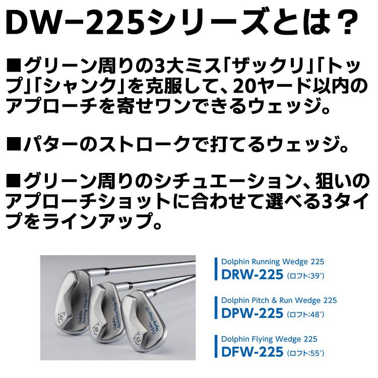 Dolphin Wedge キャスコ ドルフィン ウェッジ DW-225 DFW-225 55