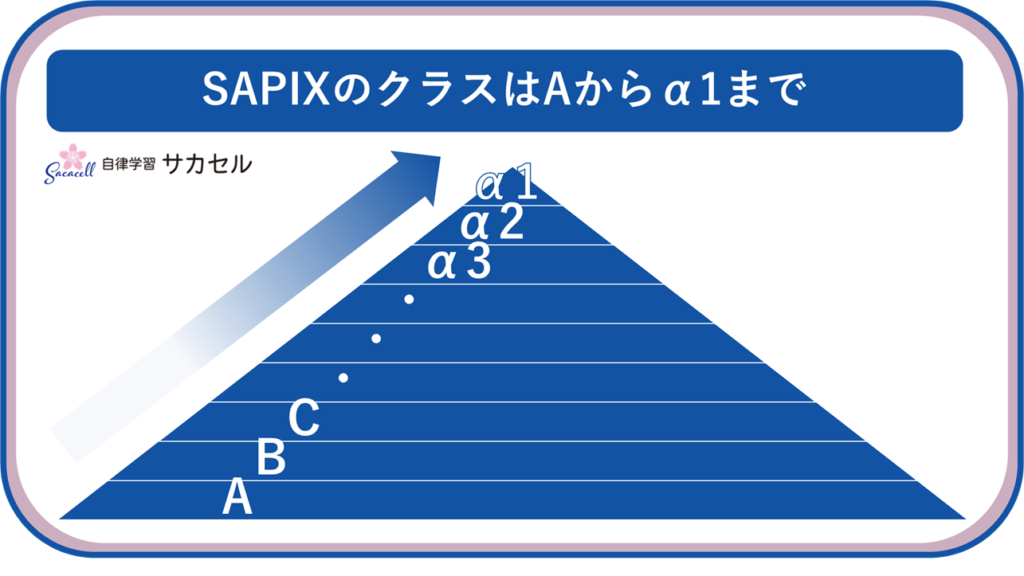 SAPIXのコース(クラス)の仕組みとは?