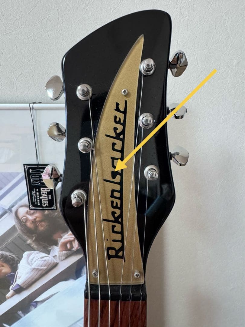 Rickenbackerタイププレート PG9847023_grande.jpg?v=1724244140