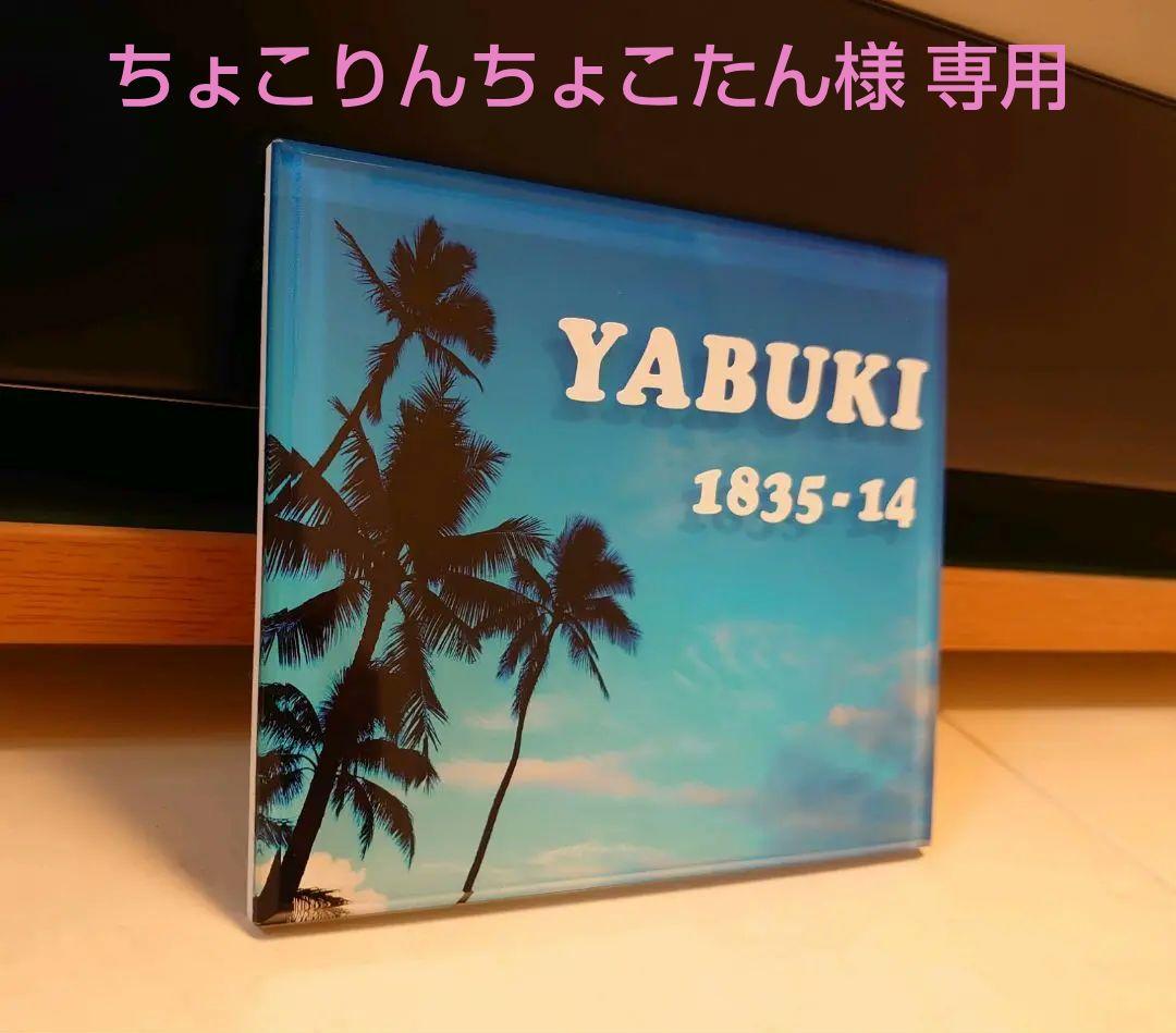 ちょこりんちょこたん＊青空とヤシの木背景アクリル表札＊45度斜めカット 商品のご注文｜健康な毎日は食事と運動から｜アグリ生活